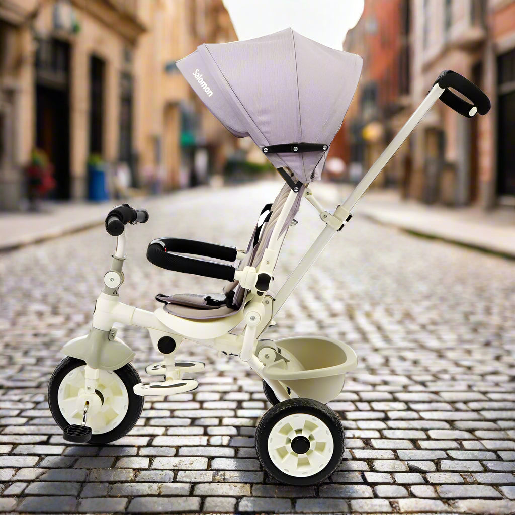 DLX Kids Tricycle T-9050 Sale priceRs.20,165.00 PKR