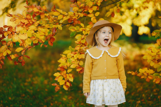 Imp Girls Frock with Jacket